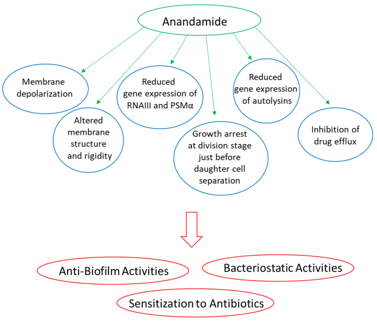 PMC8945038 – biomedicines-10-00631-f004