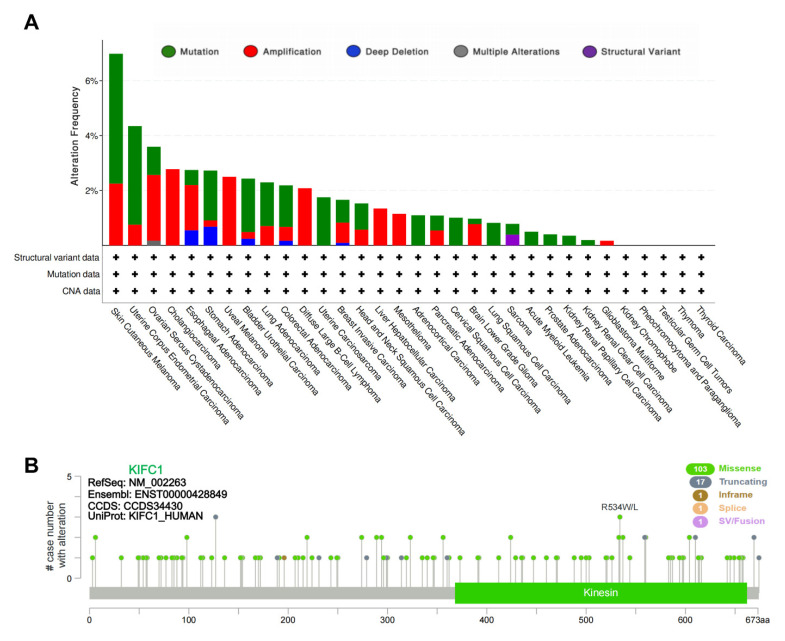 PMC8945479 – biomedicines-10-00637-f001