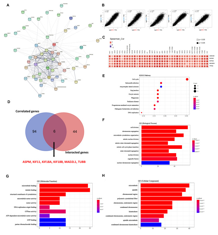 PMC8945479 – biomedicines-10-00637-f005