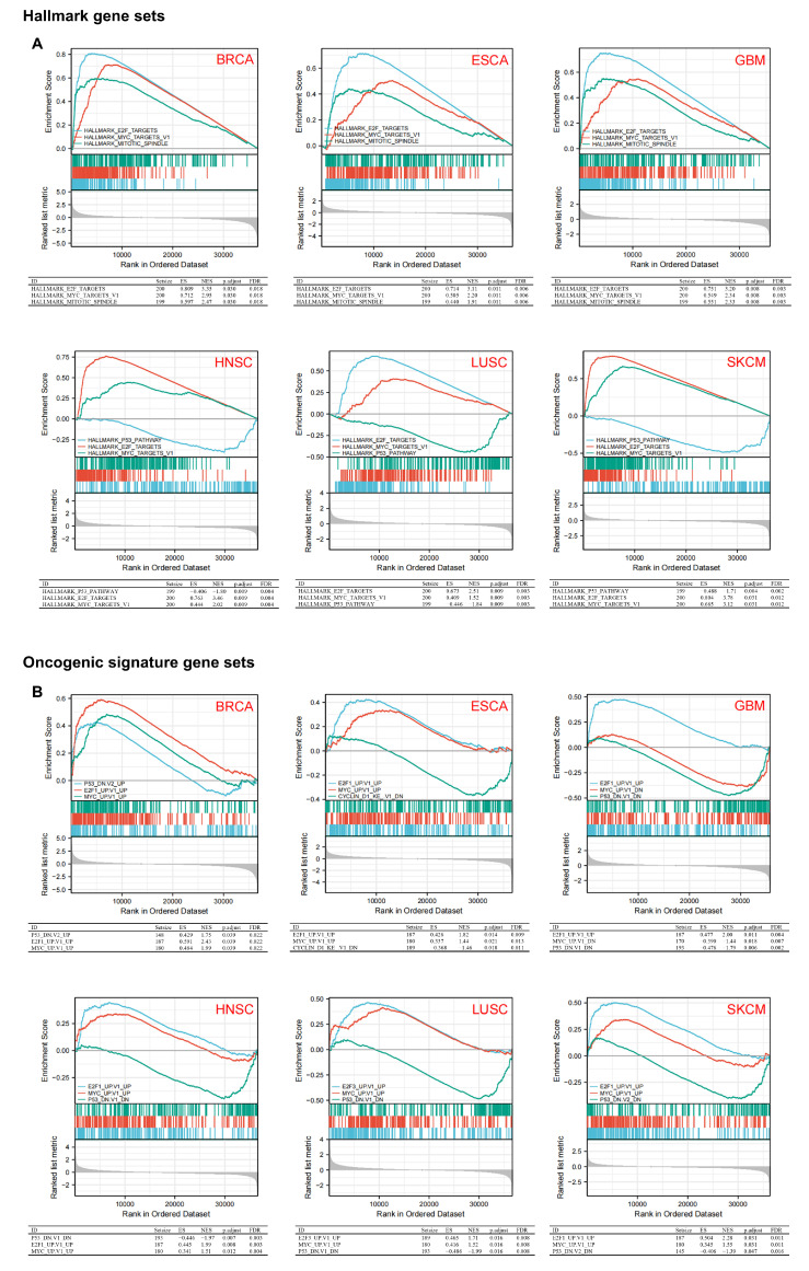PMC8945479 – biomedicines-10-00637-f006