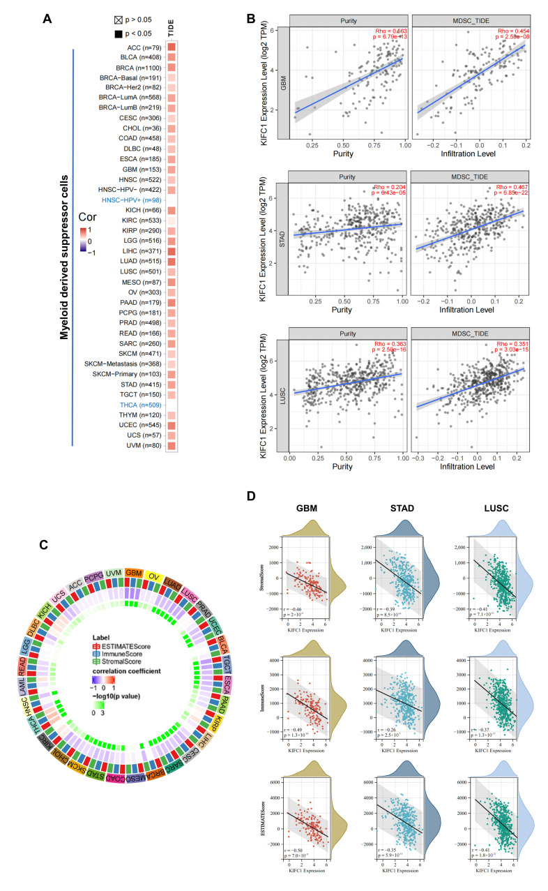 PMC8945479 – biomedicines-10-00637-f007
