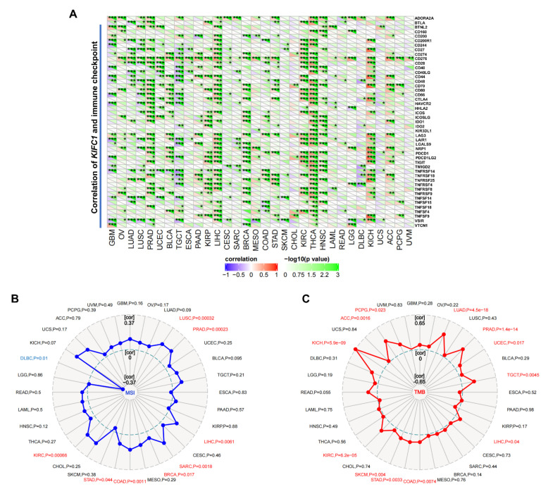 PMC8945479 – biomedicines-10-00637-f008