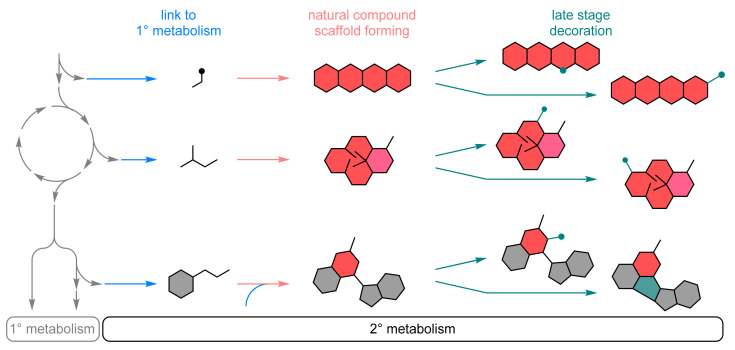 PMC9138302 – biomedicines-10-00964-f001