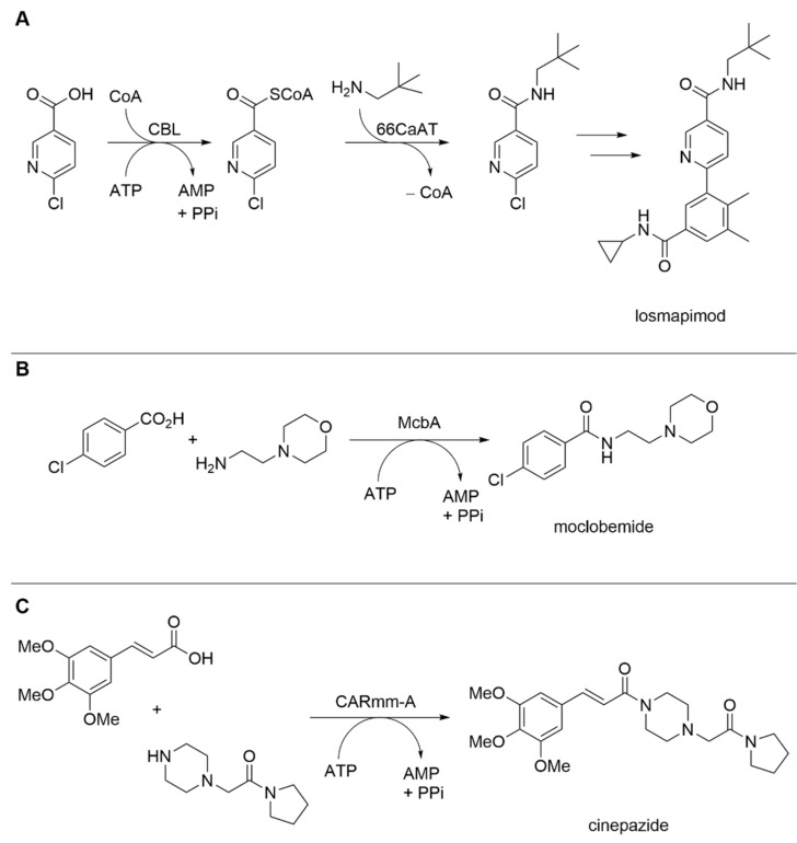 PMC9138302 – biomedicines-10-00964-f002