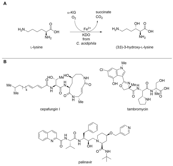PMC9138302 – biomedicines-10-00964-f004