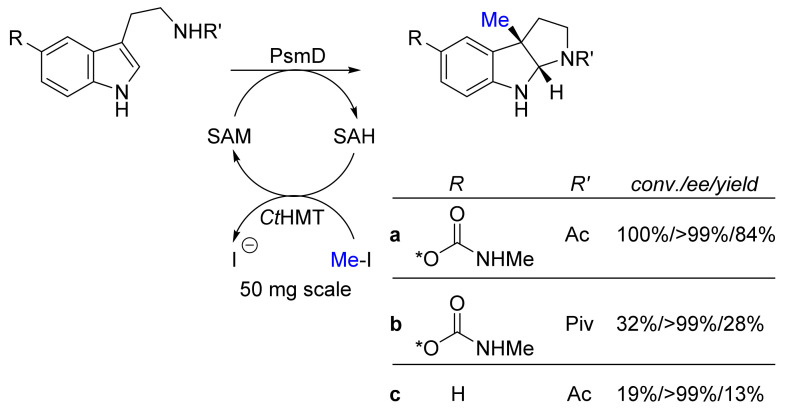 PMC9138302 – biomedicines-10-00964-f007