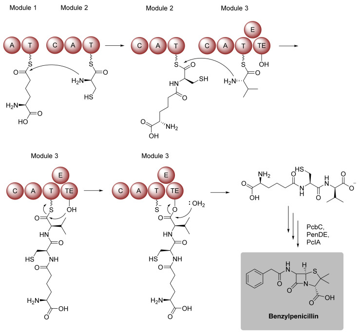 PMC9138302 – biomedicines-10-00964-f009