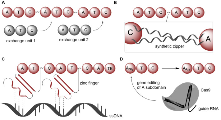 PMC9138302 – biomedicines-10-00964-f010