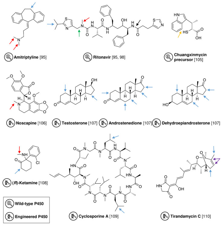 PMC9138302 – biomedicines-10-00964-f011