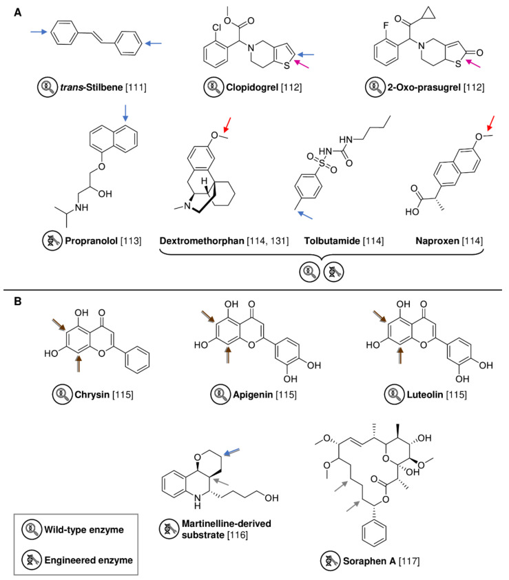 PMC9138302 – biomedicines-10-00964-f012