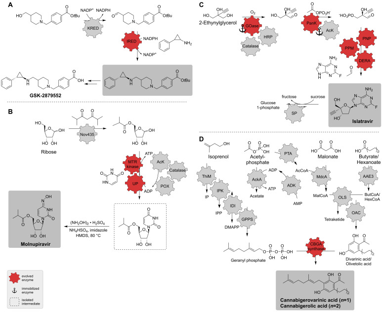 PMC9138302 – biomedicines-10-00964-f014