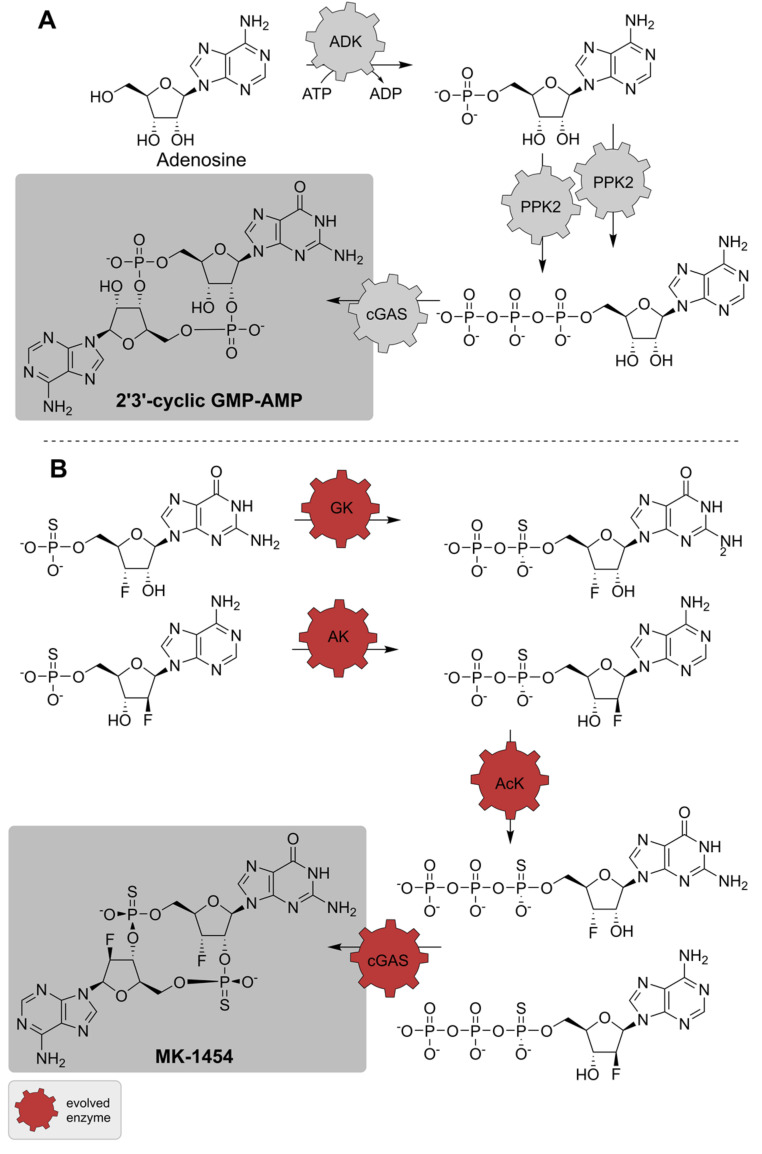 PMC9138302 – biomedicines-10-00964-f015