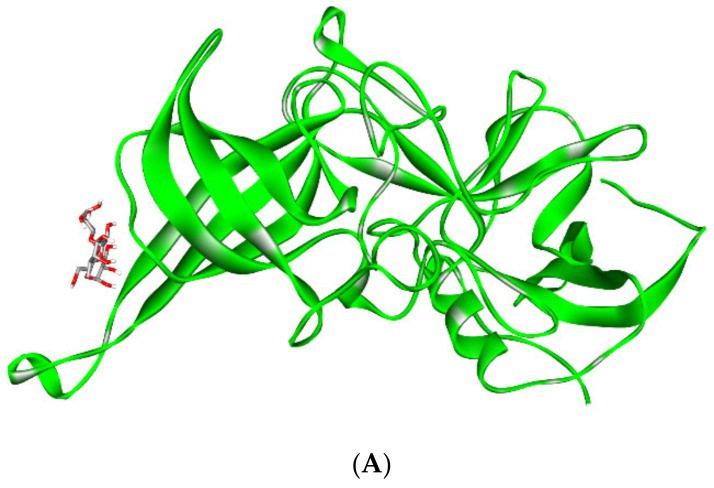 PMC9219990 – biomedicines-10-01219-f003