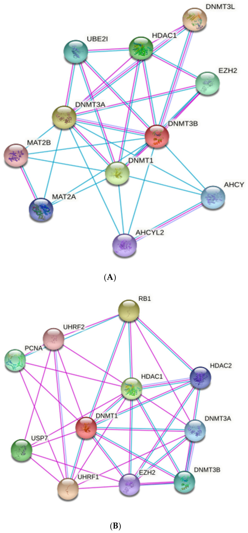 PMC9219990 – biomedicines-10-01219-f009