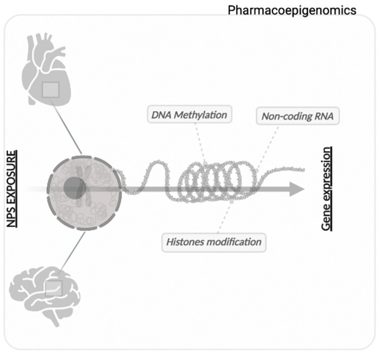 PMC9219842 – biomedicines-10-01398-f001