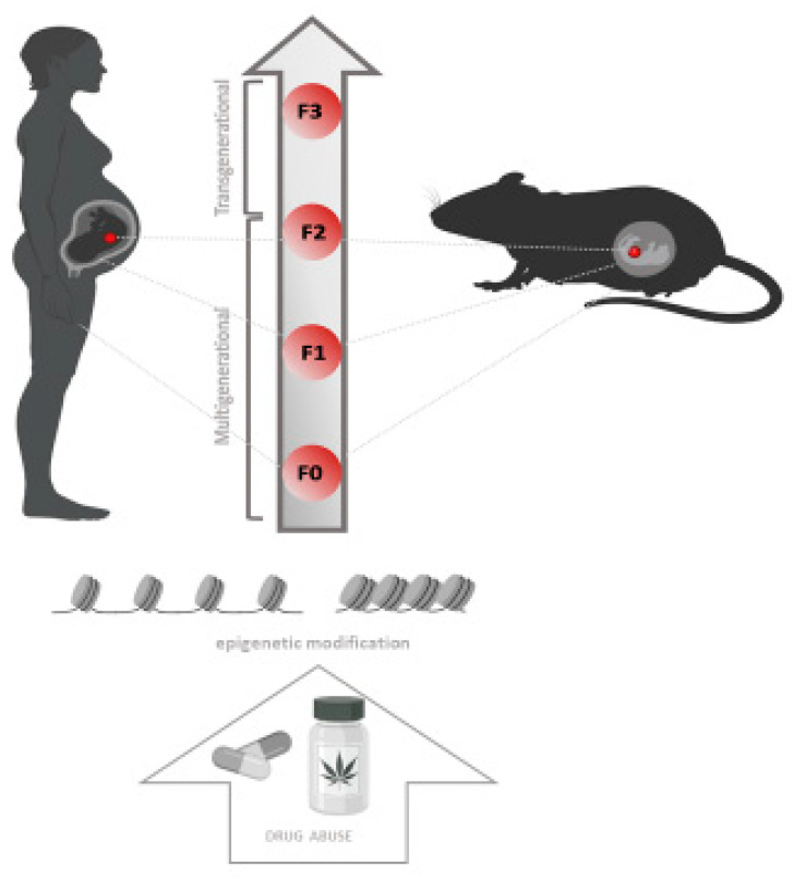 PMC9219842 – biomedicines-10-01398-f002