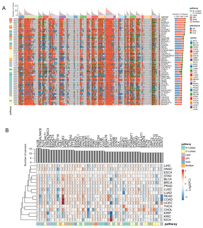 PMC9404854 – biomedicines-10-01805-f005