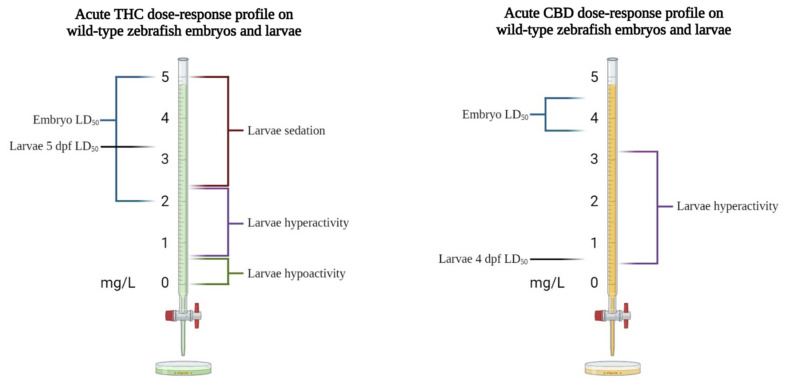 PMC9404760 – biomedicines-10-01820-f003