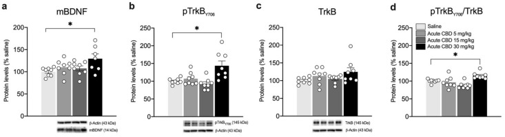 PMC9405391 – biomedicines-10-01853-f004
