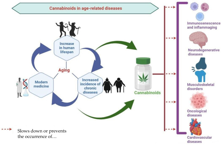 PMC9599275 – biomedicines-10-02492-f001