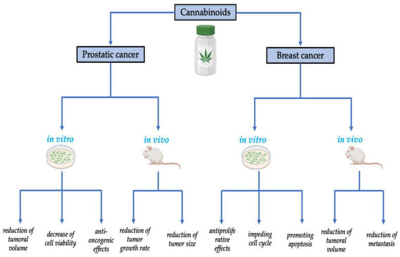PMC9599275 – biomedicines-10-02492-f005