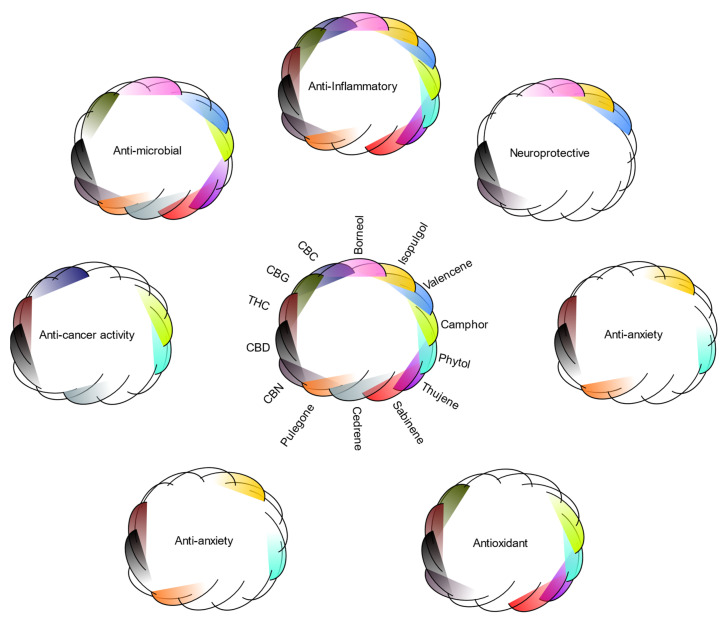 PMC9775512 – biomedicines-10-03142-f003