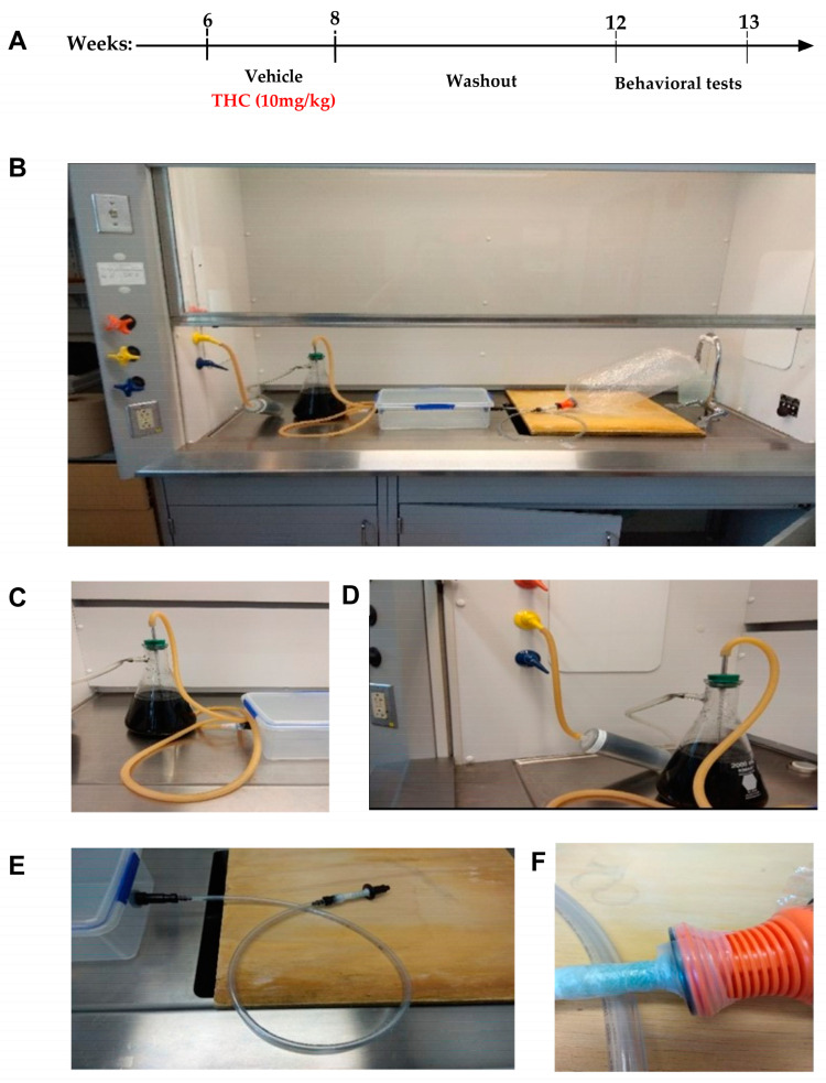 PMC9855766 – biomedicines-11-00144-f001