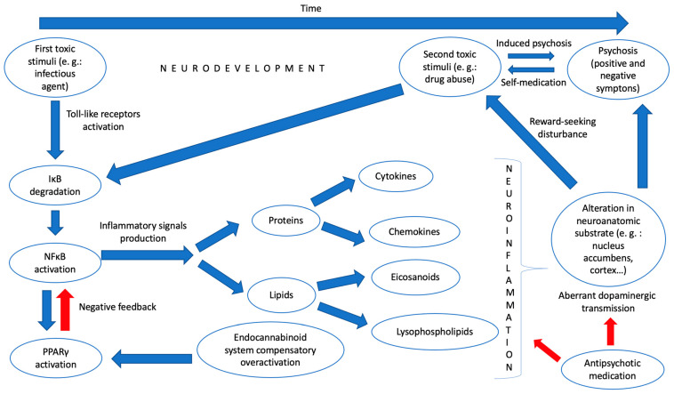 PMC9953424 – biomedicines-11-00454-f001
