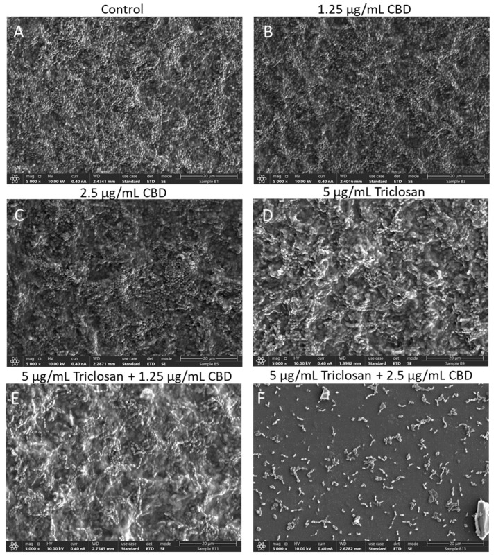 PMC9953046 – biomedicines-11-00521-f008