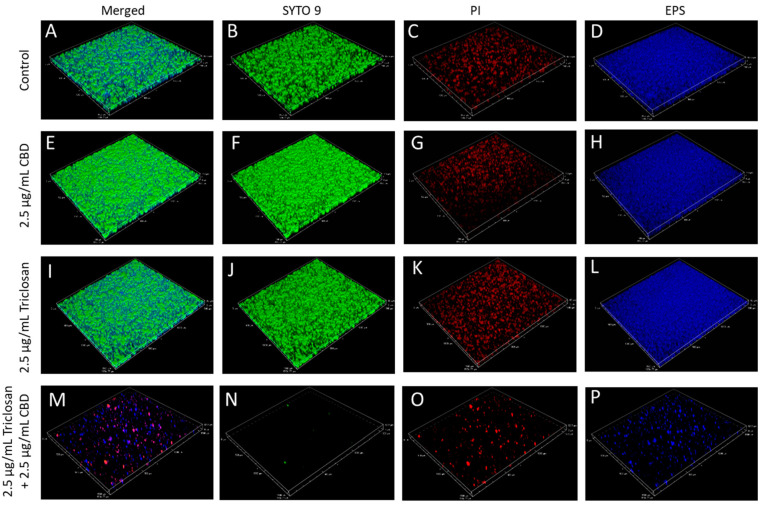 PMC9953046 – biomedicines-11-00521-f009