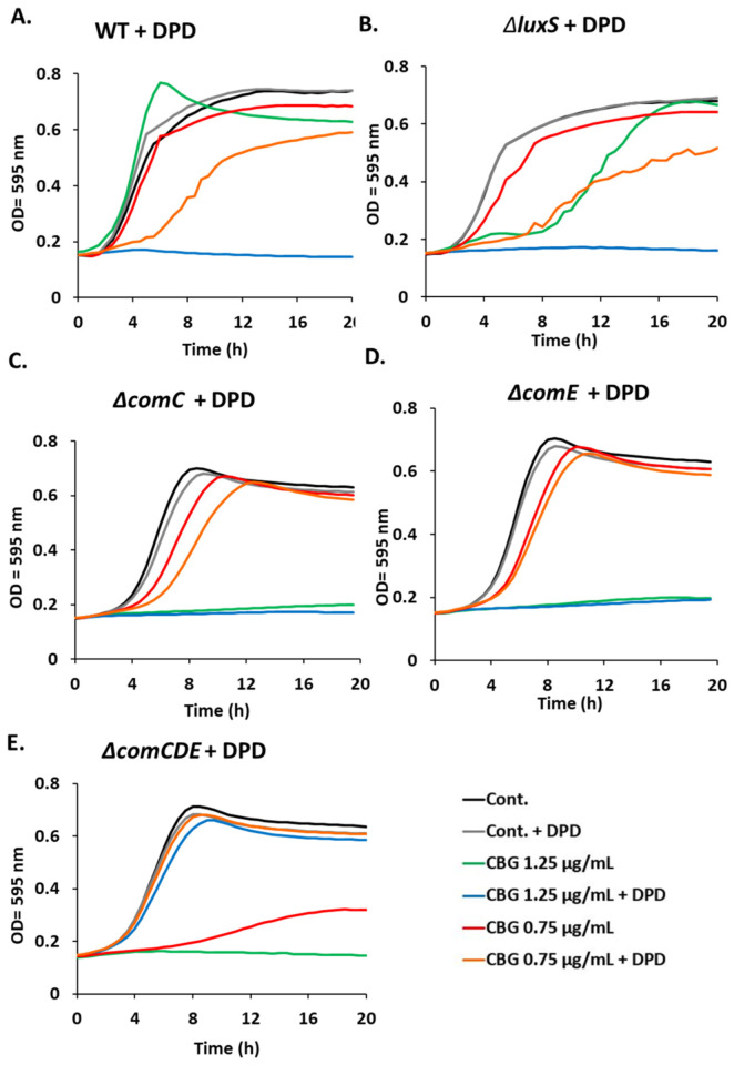 PMC10045765 – biomedicines-11-00668-f003