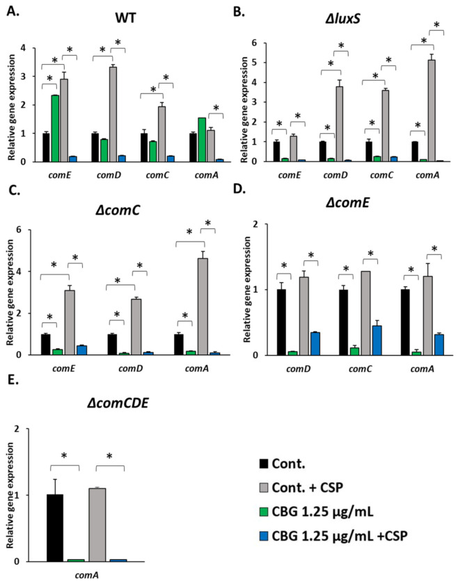 PMC10045765 – biomedicines-11-00668-f004