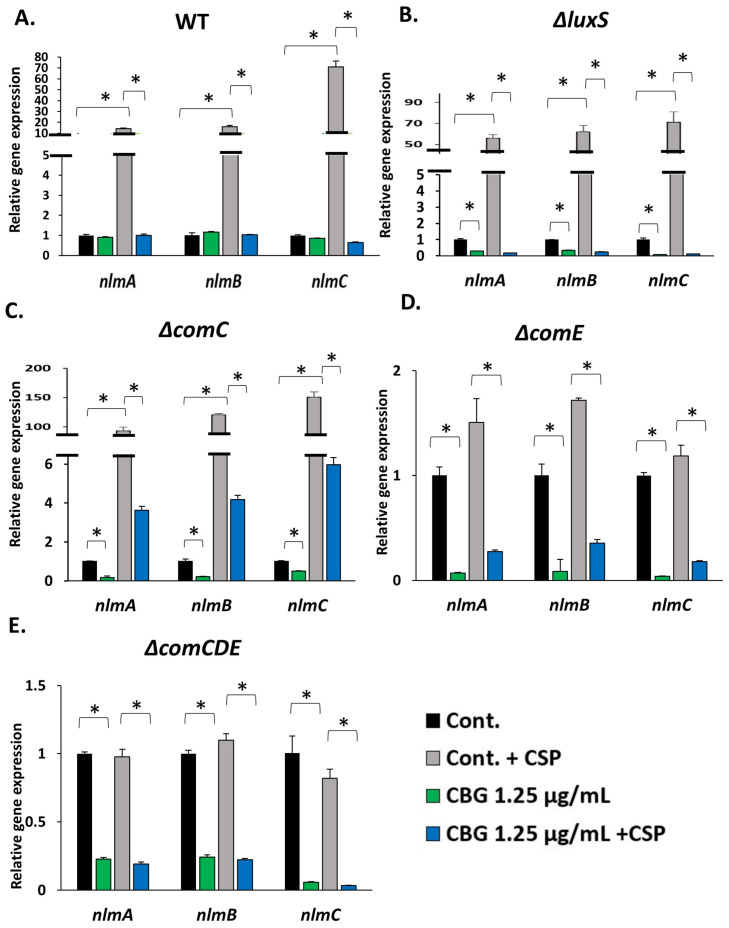 PMC10045765 – biomedicines-11-00668-f005