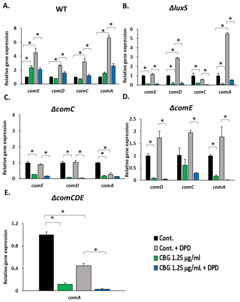 PMC10045765 – biomedicines-11-00668-f006