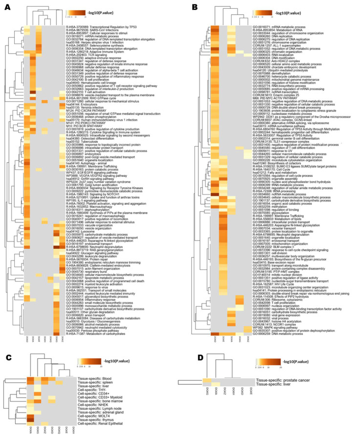 PMC10377028 – biomedicines-11-01877-f003