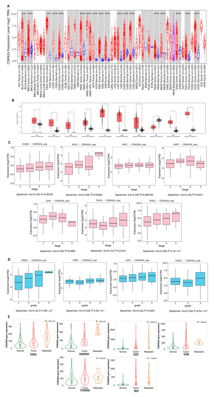 PMC10452213 – biomedicines-11-02254-f001