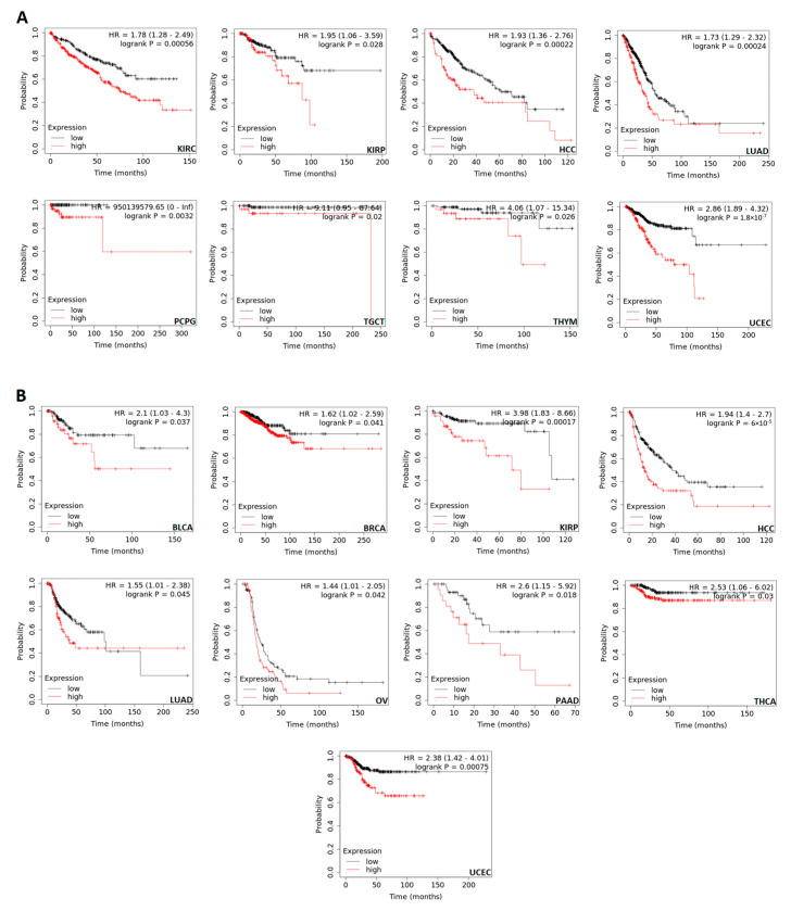 PMC10452213 – biomedicines-11-02254-f004