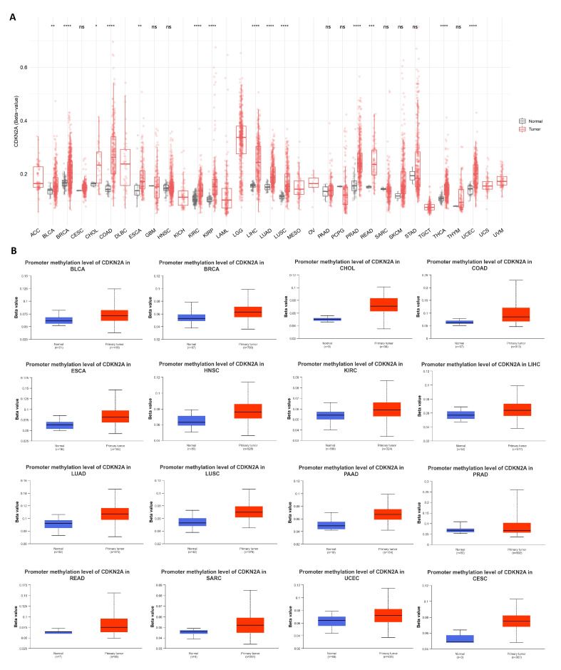 PMC10452213 – biomedicines-11-02254-f006