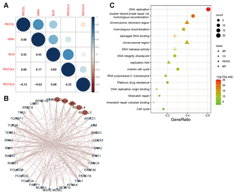 PMC10452384 – biomedicines-11-02318-f001