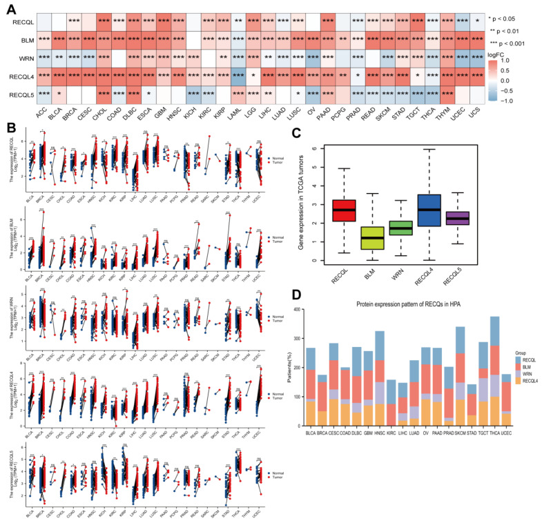 PMC10452384 – biomedicines-11-02318-f002