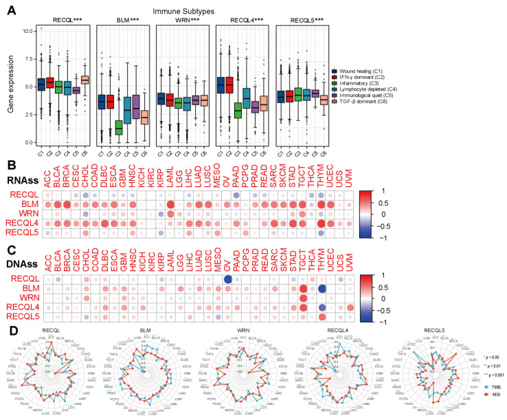 PMC10452384 – biomedicines-11-02318-f005
