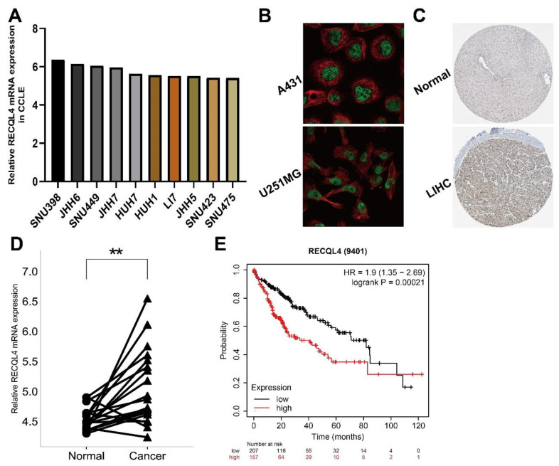 PMC10452384 – biomedicines-11-02318-f007