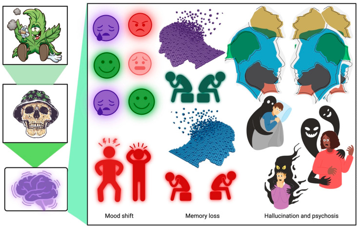 PMC10604755 – biomedicines-11-02630-f003
