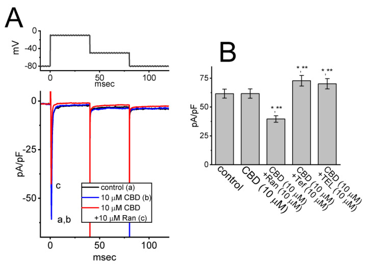 PMC10604323 – biomedicines-11-02651-f006
