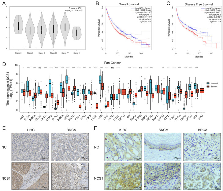 PMC10604305 – biomedicines-11-02765-f001