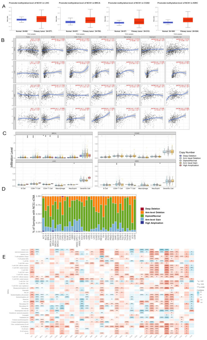 PMC10604305 – biomedicines-11-02765-f002