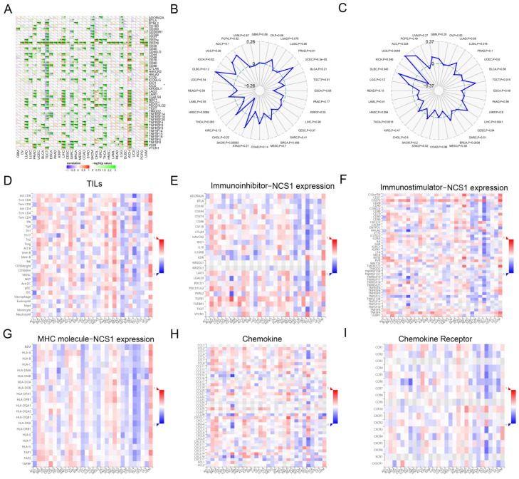 PMC10604305 – biomedicines-11-02765-f003