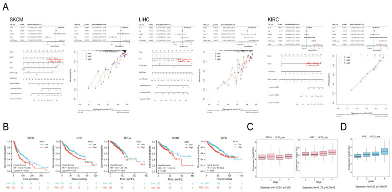 PMC10604305 – biomedicines-11-02765-f005
