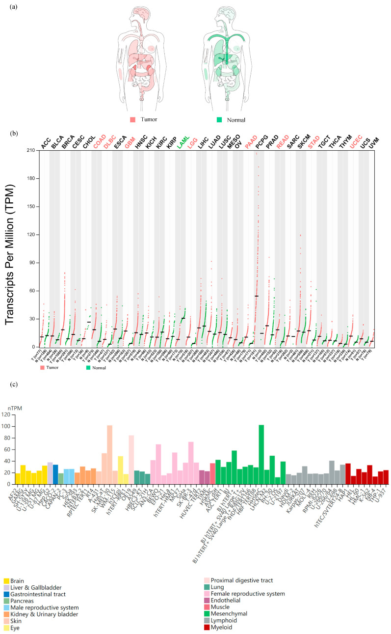 PMC10669416 – biomedicines-11-02884-f001