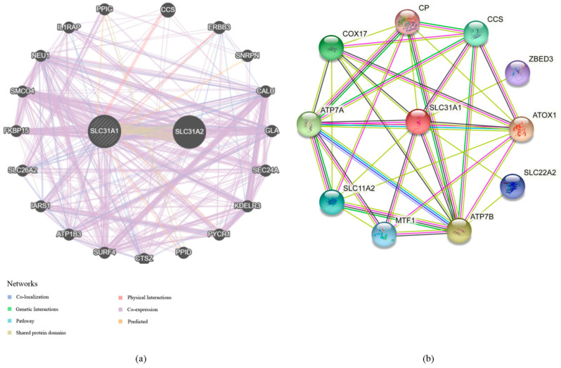 PMC10669416 – biomedicines-11-02884-f004